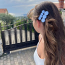 Haarclips Set Cinderella